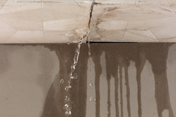 Professional Structural Drying technician working in Garland, TX